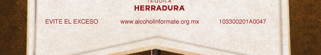 alcoholinformate.org.mx/