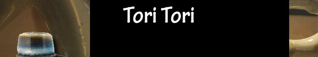 Tori Tori