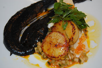 Callos de hacha de guerrero negro, Restaurante Solea