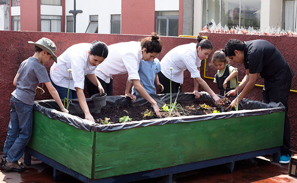 Huertos en escuelas para niños