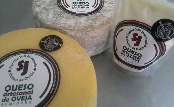 Queso Artesanal de oveja