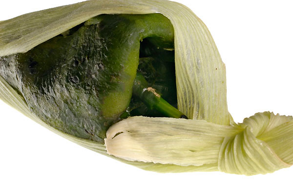 Tamal Poblano