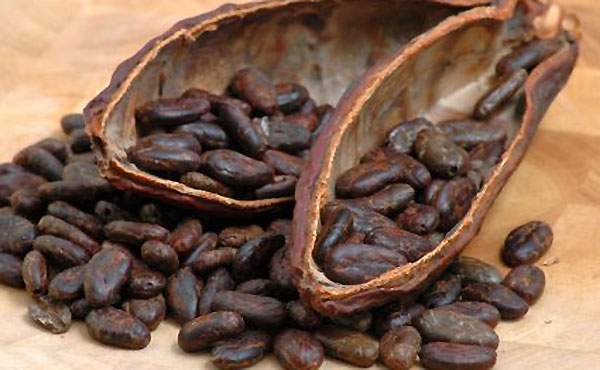 Cacao en queremoscomer.rest