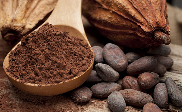 cacao en queremoscomer.rest