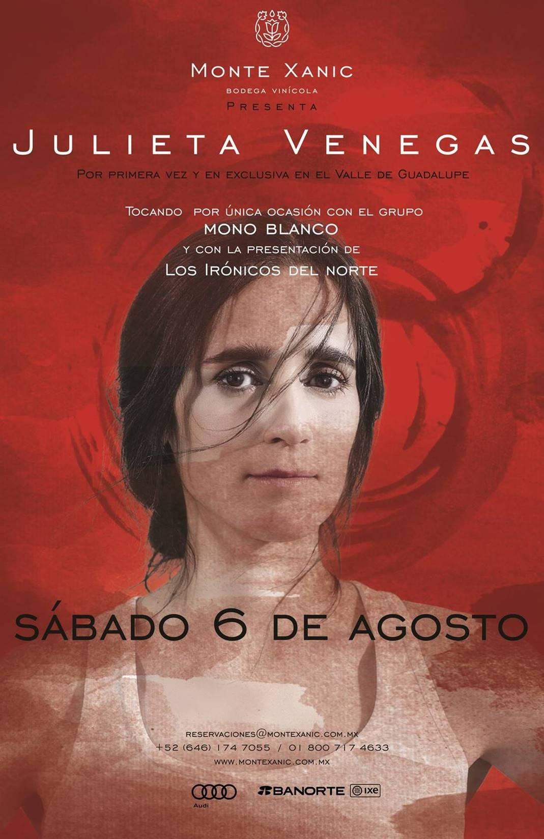 julieta venegas