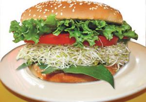 Veggie Burger