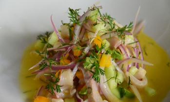 Aguachile Manzano de Hamachi