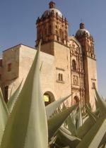 Clases de cocina en Oaxaca: 