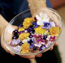 Las flores en la gastronomía 