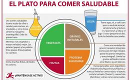 El plato ideal según la Universidad de Harvard