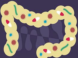 Descubre qué le pasa a tus bacterias intestinales después de comer McDonald's por 10 días seguidos