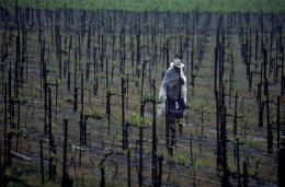 Se compromete SECTUR a fortalecer ruta del vino en BC, como parte de la Política Gastronómica